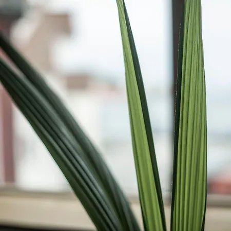 Eilert Smith 4* 斯塔万格