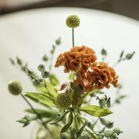 酒店 Eilert Smith 4*